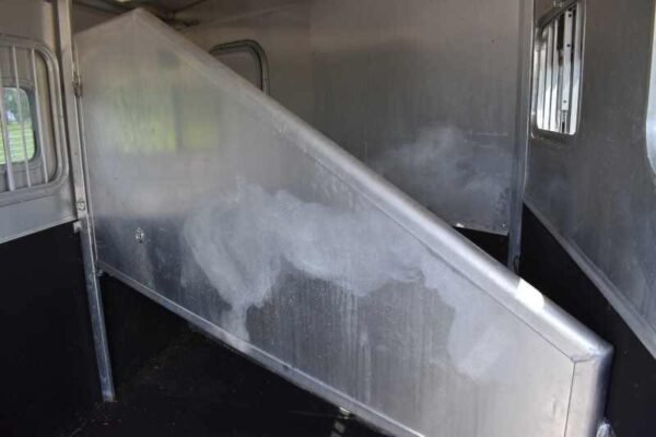 2002 exiss ss20 2 horse trailer